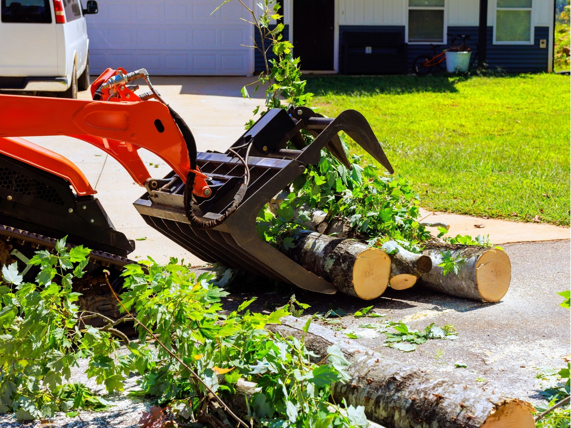 Loader clearing cut tree limbs after storm damage